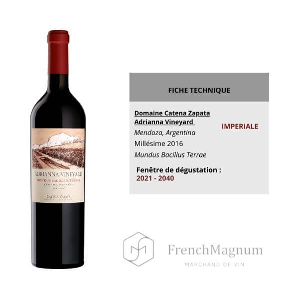 Photo de la bouteille Impériale Catena Zapata Adrianna Vineyard "Mundus Bacillus Terrae" 2016